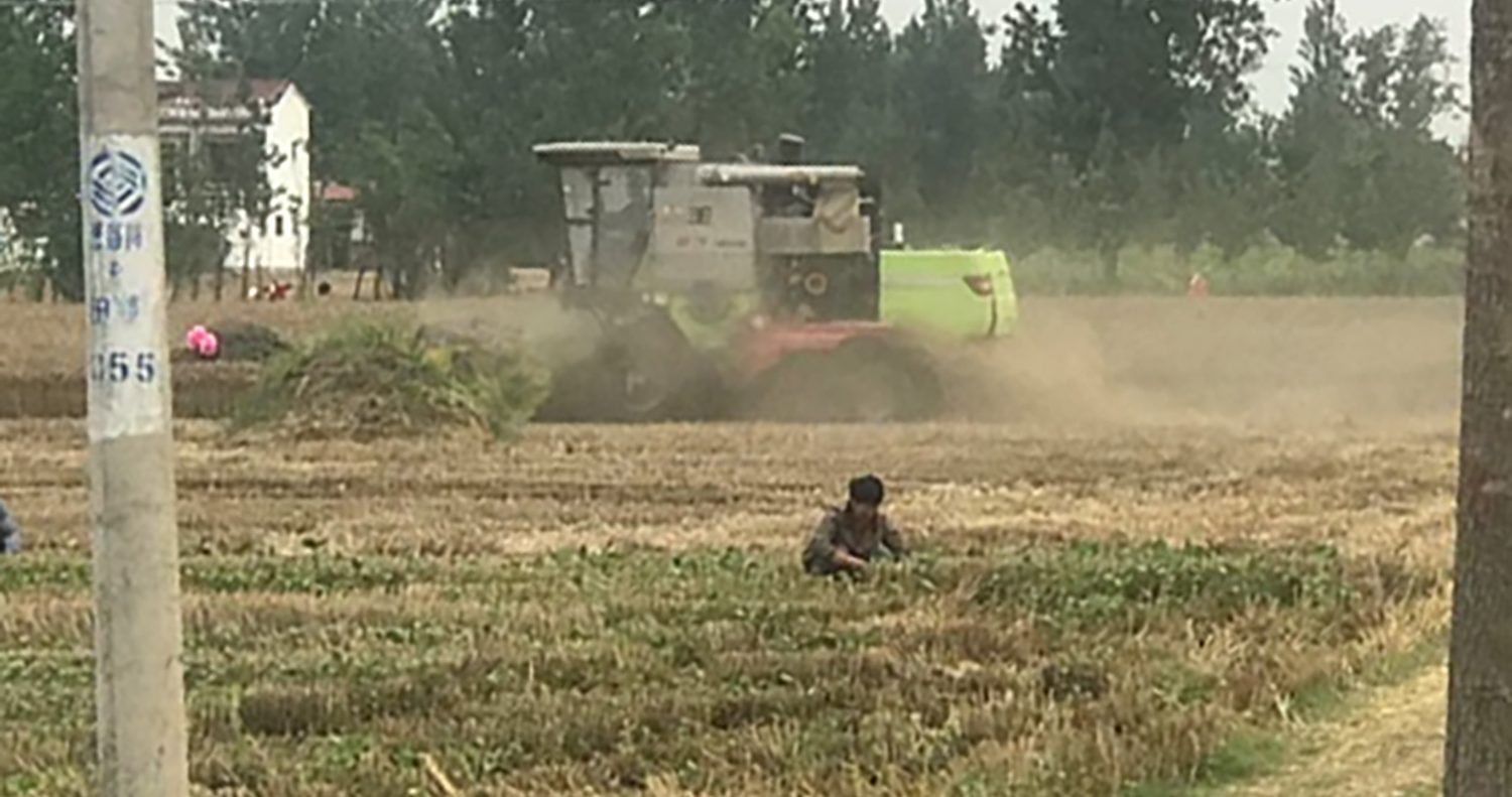 70735624711 449F9F1D 02E8 4A79 A23F 9B002BC75D59