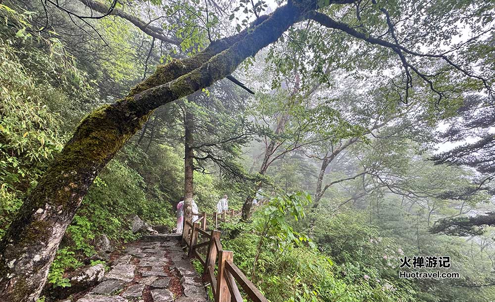 朱雀国家森林公园2