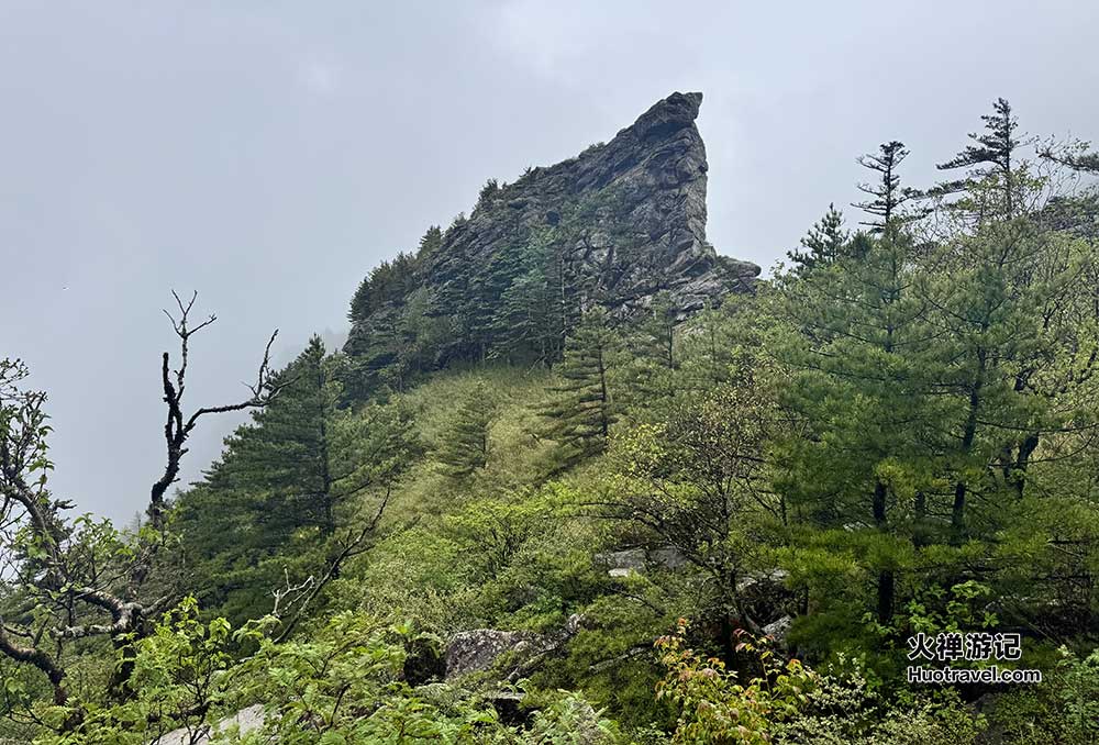 朱雀国家森林公园3