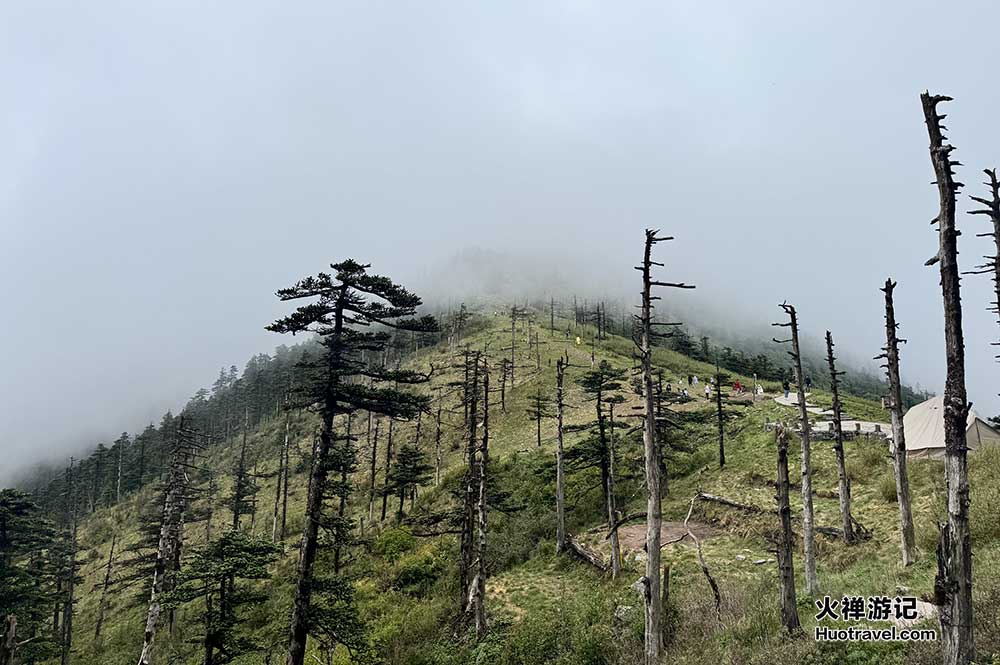 朱雀国家森林公园5