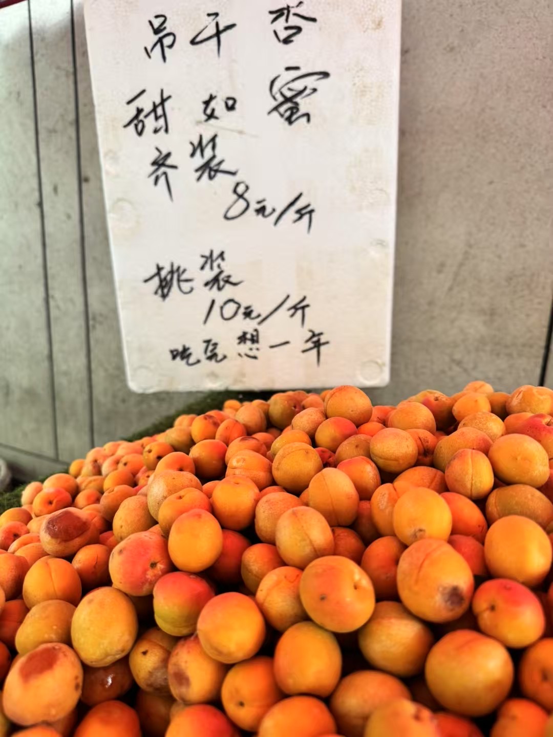 Xian xingzi1